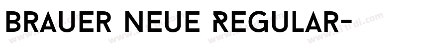 Brauer Neue Regular字体转换